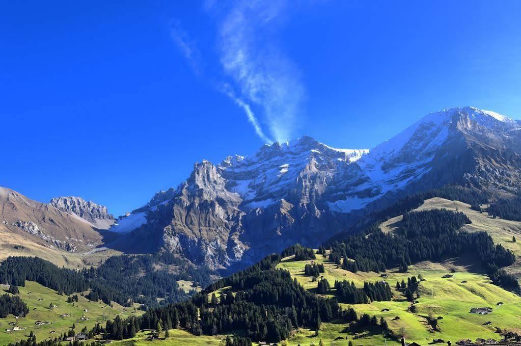 Hotel Bristol Relais Du Silence Superior Adelboden Exterior foto